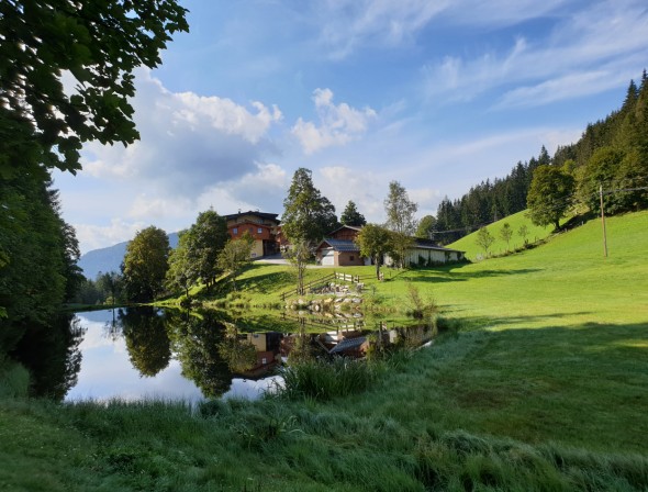 Farm's own fish pond in the Salzburger Land