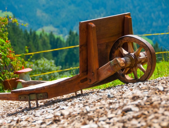 Summer vacations on the farm with sunny position
