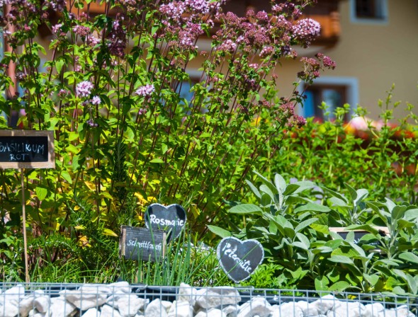 Lovingly tended farm herb garden