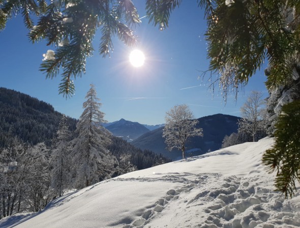 Winter sun during a winter walk through the province of Salzburg