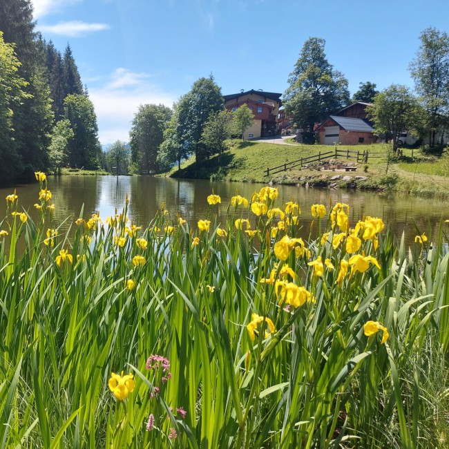 Farm pond in front of the vacation farm