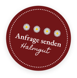 Anfrage an das Halmgut in Eben im Pongau senden